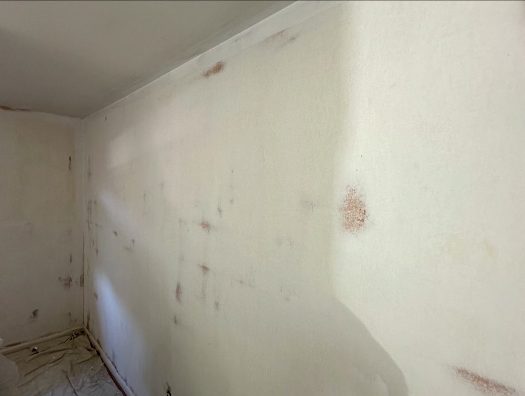 Painting in Burlington County New Jersey, Bucks County Pennsylvania and the surrounding areas